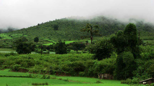 Photograph Courtesy: Wikimedia Commons