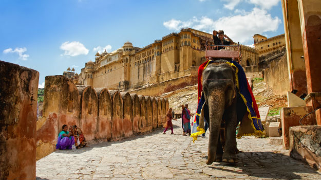 Elephants at Amber Fort