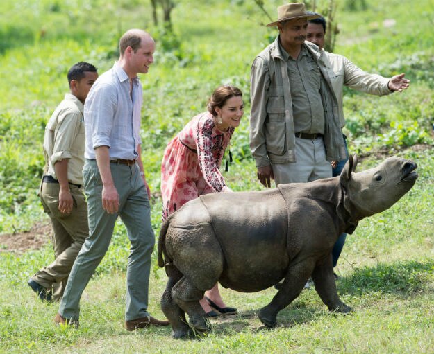 Kaziranga-Kate-and-Will-6