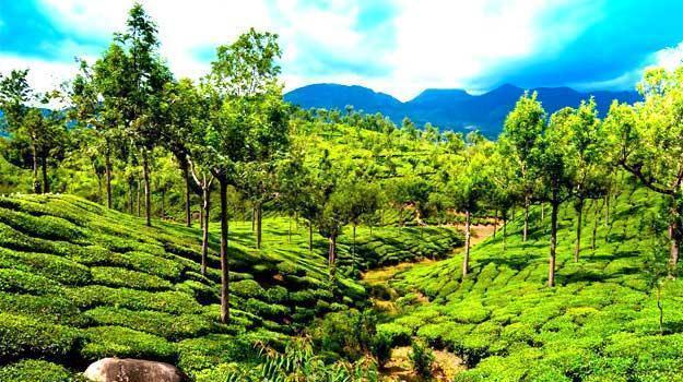 Munnar