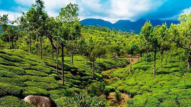Munnar