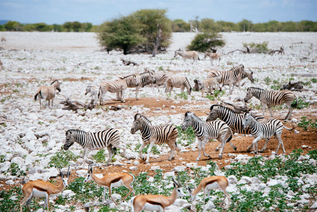Namibia