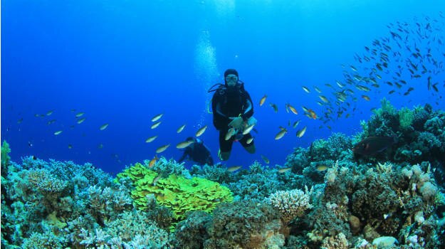 Scuba-diving