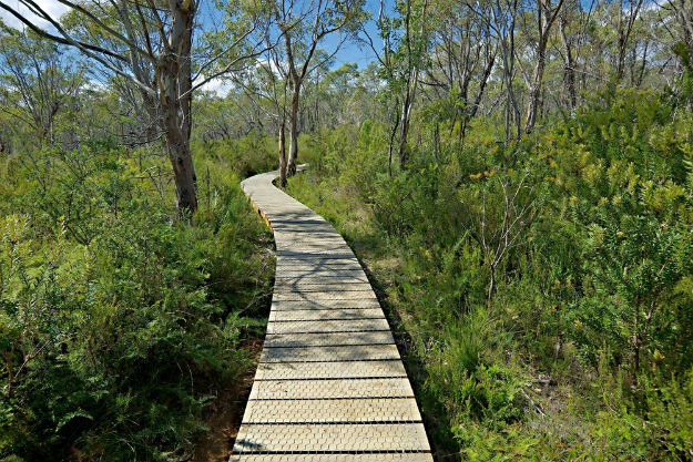 Tasmania