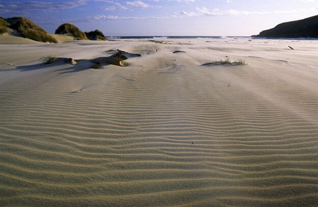 otago-peninsula-new-zealand-600