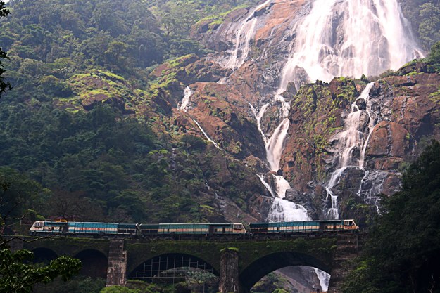 Photograph courtesy: PurshiWikimedia Commons