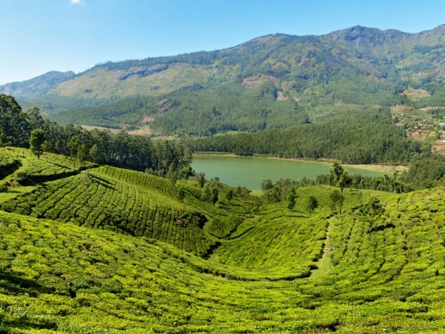 Kerala-Matupetty