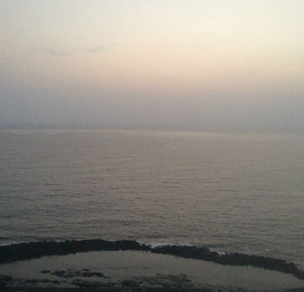 Mahi 8