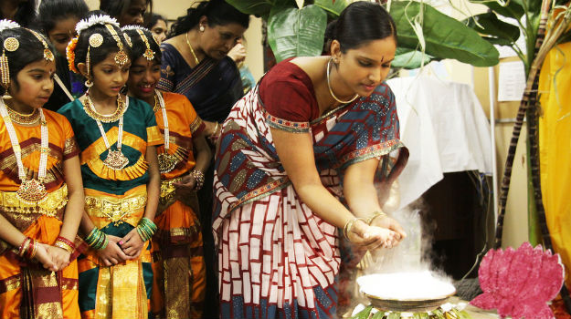 Pongal celebrations