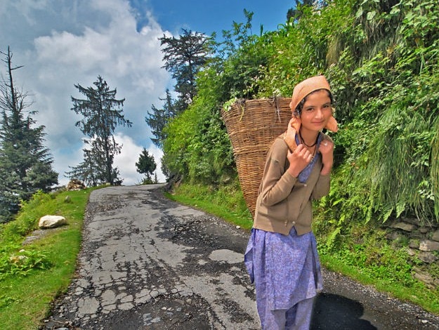Shojha,Photographer: Motographer/Creative Commons