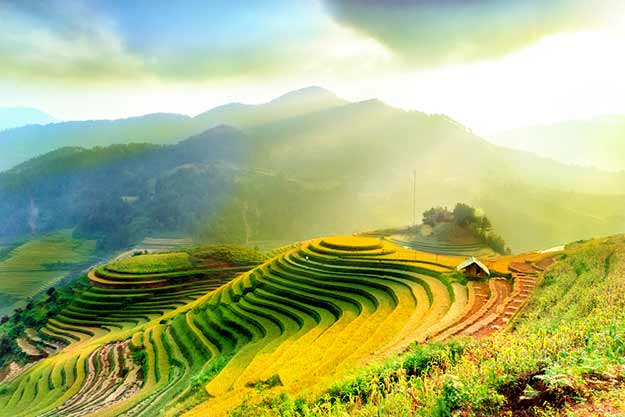 Vietnam