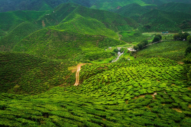 Darjeeling in West Bengal