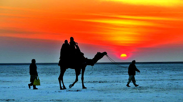 The Great Rann of Kutch