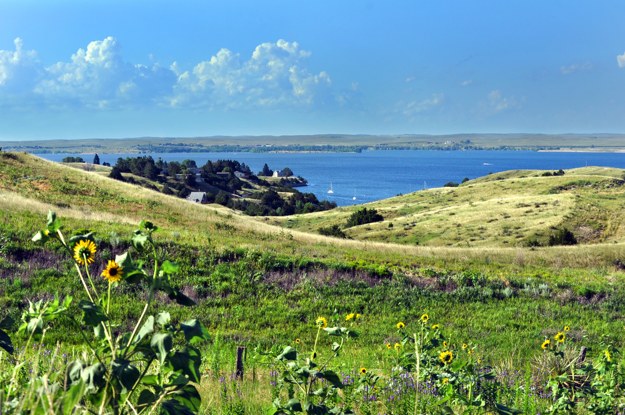 Photograph: Shutterstock