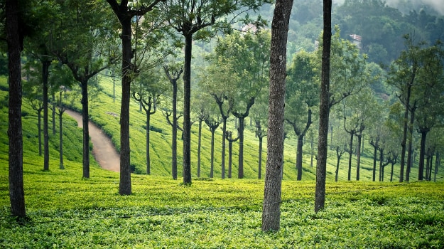 Coonoor