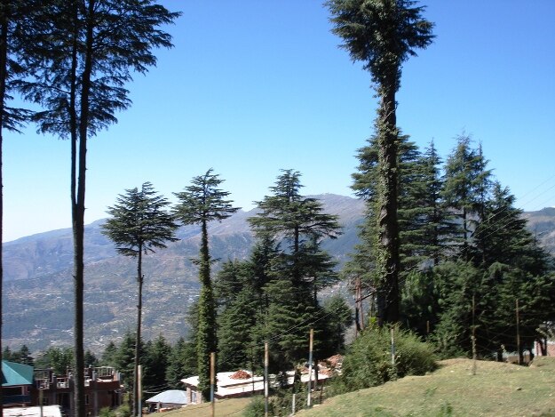 Patnitop hill, Photo Courtesy:Wikimedia/Creative Commons