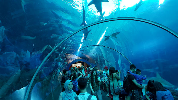 SEA entry