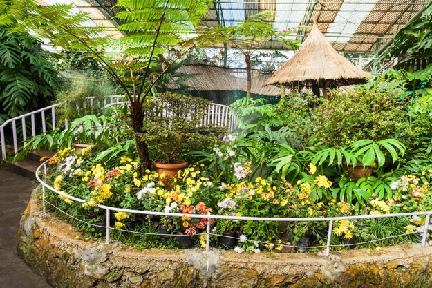 Flower Exhibition Centre in Gangtok, Sikkim