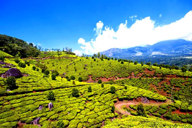 Munnar