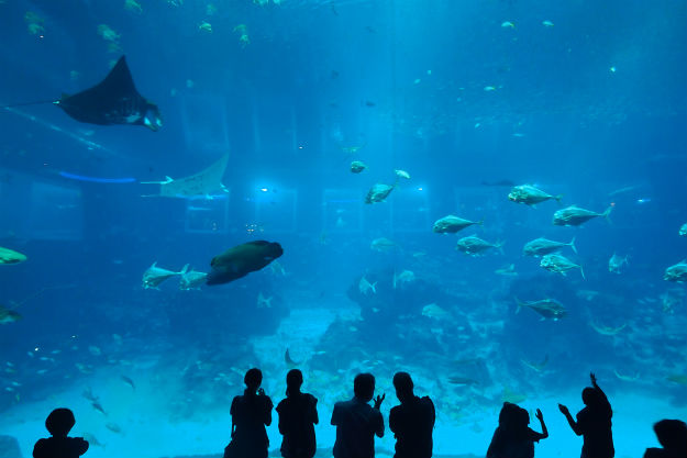 Universal Studios - SEA