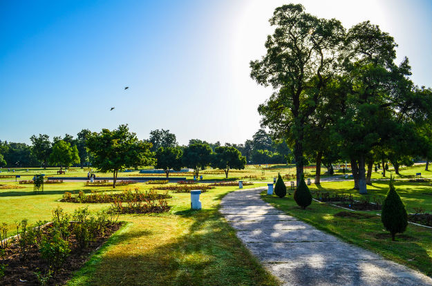 Chandigarh Rose Garden