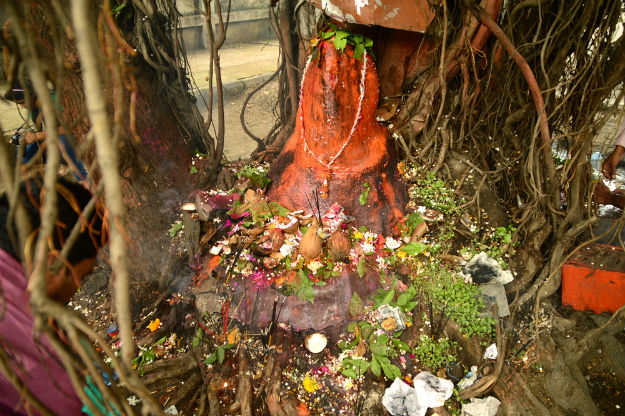 Nag Panchami Nagpur 2