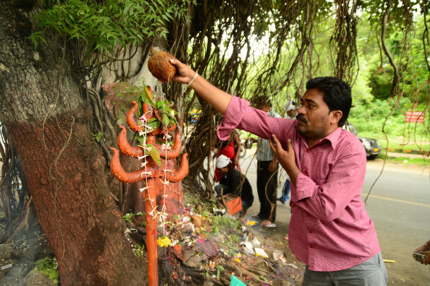 Nag Panchami in Nagour