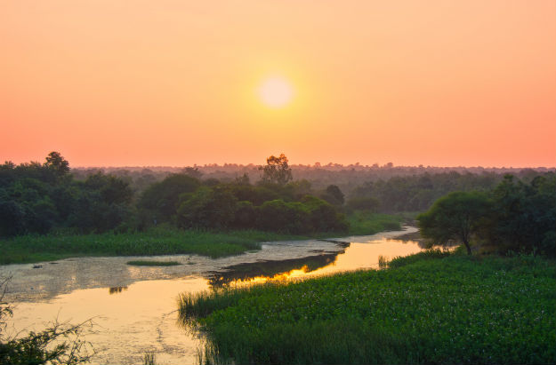 Nagpur