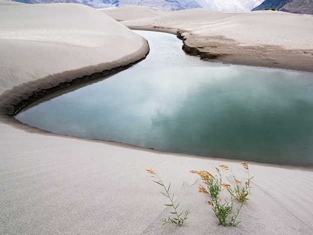 River between sand dunes in Nubra