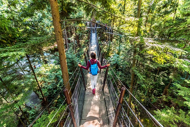 Capilano suspension bridge in Canada