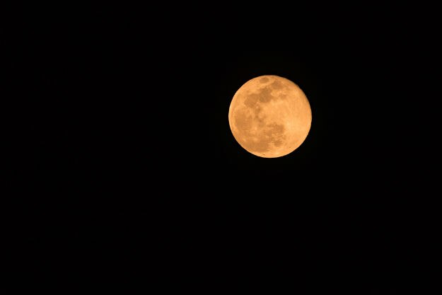 Sharad Purnima 2017