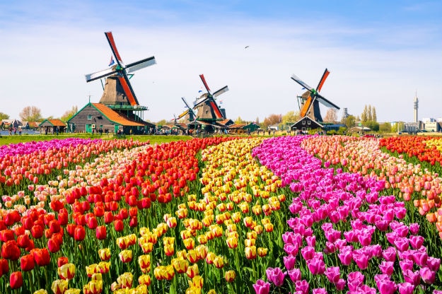 Amsterdam 5