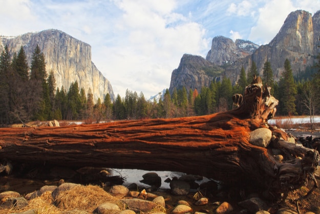 El Capitan and merced river , Yosemite National Park