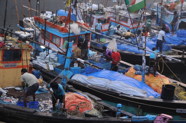 Unidentified Women and men trade in a wide variety of fish at Sassoon Docks in Colaba, South Mumbai