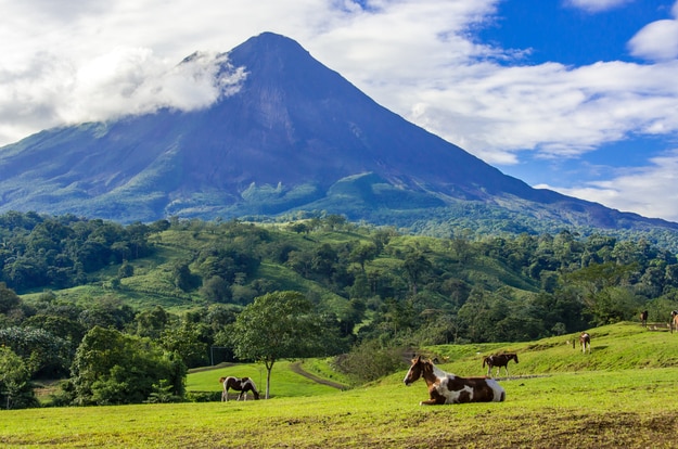 Arenal Volcano - Horses on pasture