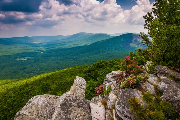 John Denver’s ‘Country Roads’ Is West Virginia’s Tourism Anthem; These ...