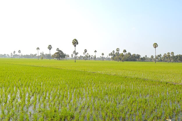 Vijayawada Photos like Never Seen before Will Tempt You to Visit This ...