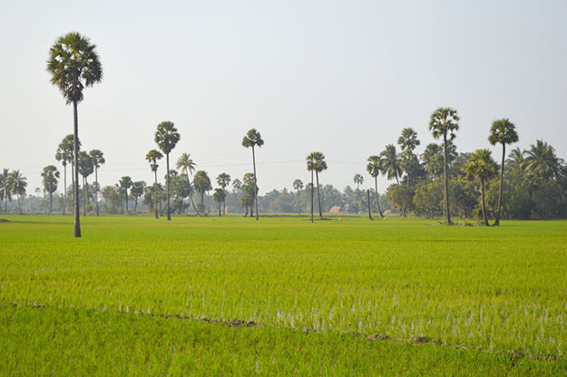 Vijayawada Photos like Never Seen before Will Tempt You to Visit This ...