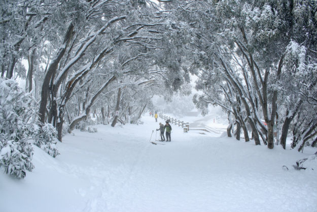 Winter - Australia