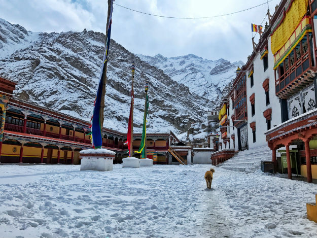 Winter - Hemis