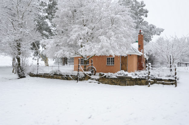 Winter - south africa