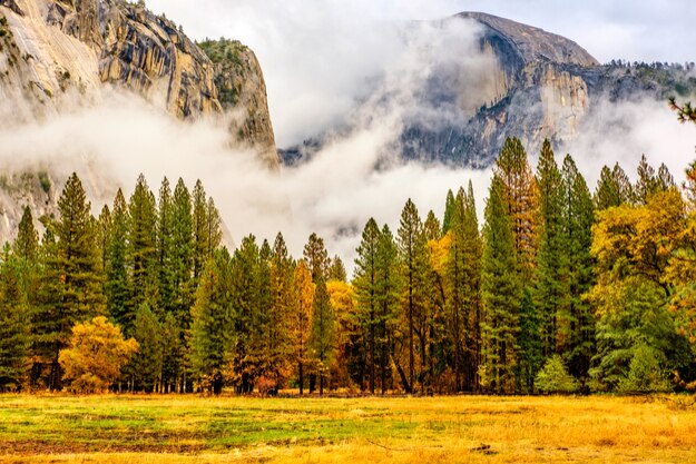 Yosemite National Park Valley at cloudy autumn morning. Low clouds lay in the valley