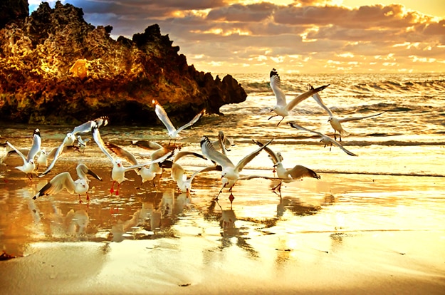 Australia Perth sunset photo