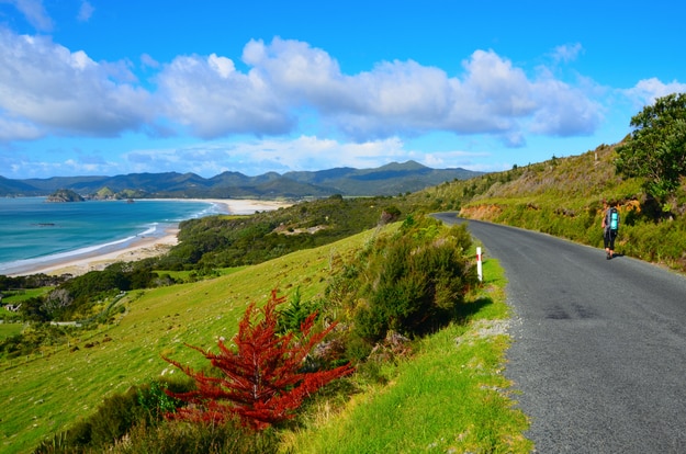 Coastal Path in Great Barrier Island, New Zealand