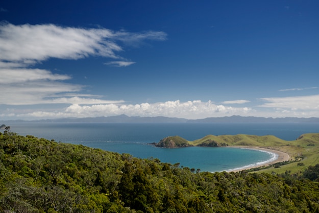 Coromandel Peninsula, view to the Great Barrier Island, New Zealand