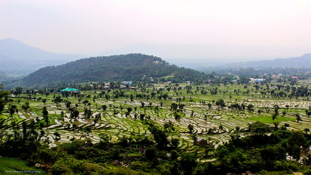 Dharamsala photo 3