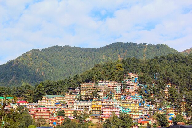 Dharamsala photo 5