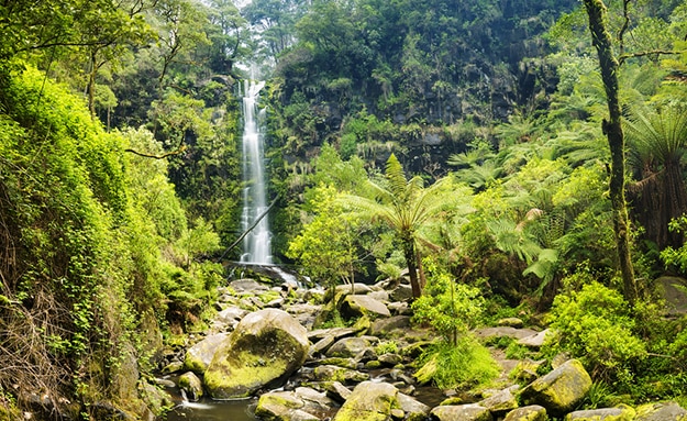 Erskine Falls Australia photo