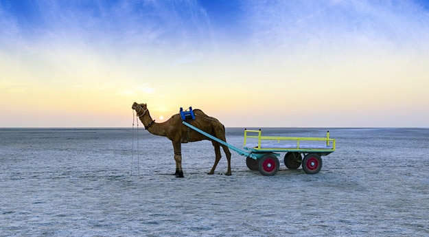 Gujarat sunset photo Rann of Kutch