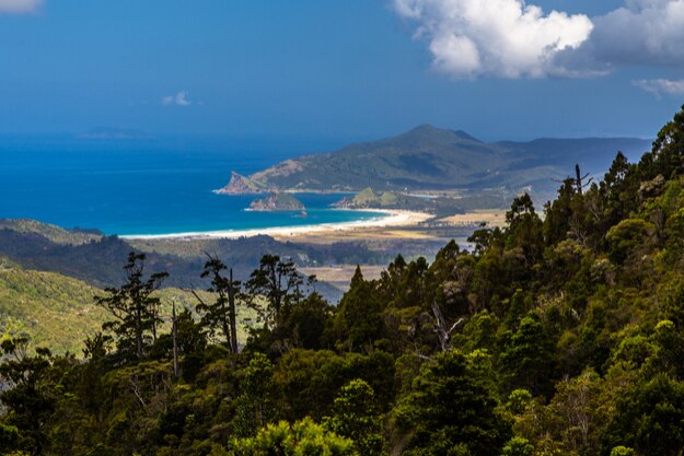 Medlands beach view from Mt Hobson, Great Barrier Island, New Zealand